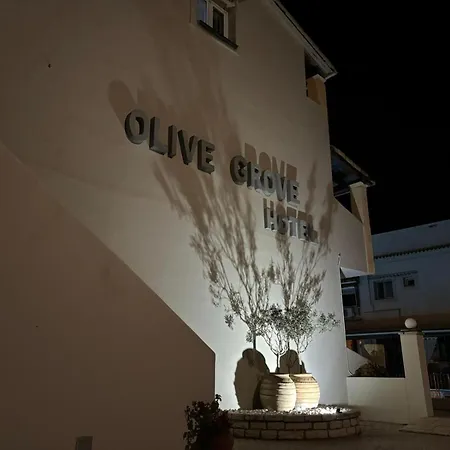 Olivegrove Apartmán *