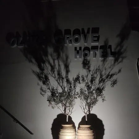 Olivegrove Apartmán Sidárion